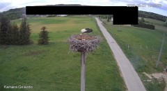 IMG_2614.jpeg