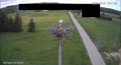 IMG_2628.jpeg