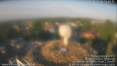 palowice-2025-05-07-2.png