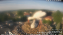 palowice-2025-05-07-3.png