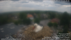 palowice-2025-05-07-4.png