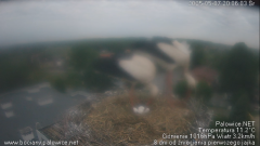 palowice-2025-05-07-5.png