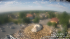 palowice-2025-05-08.png
