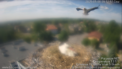 palowice-2025-05-08-2.png