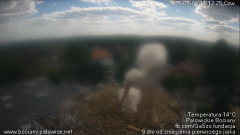 palowice-2025-05-08-4.png
