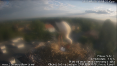 palowice-2025-05-08-6.png