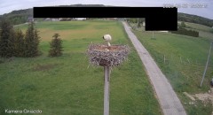 IMG_3693.jpeg