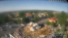 palowice-2025-05-09.png