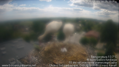 palowice-2025-05-09-2.png