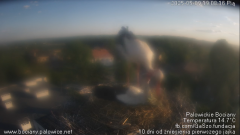 palowice-2025-05-09-3.png