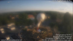 palowice-2025-05-09-4.png