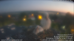 palowice-2025-05-09-6.png