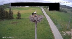 IMG_3997.jpeg