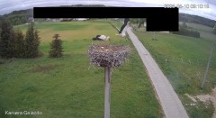 IMG_3998.jpeg