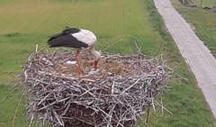 IMG_4004.jpeg