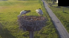IMG_4526.jpeg