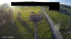IMG_4527.jpeg