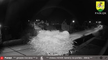 Pusto, czyżby test gniazda nie wypadł najlepiej