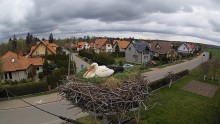 pas13.1.jpg