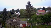 451DAED1-5D06-47B4-8707-05C36929B18C.jpeg