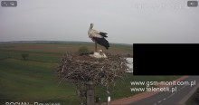 5E08E271-A082-4B90-985C-E45B1B96BC32.jpeg