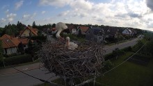 pas6.3.jpg