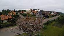 pas85.jpg