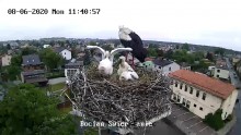 świ8.5.jpg