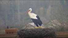 D3339557-DD5C-4C09-8650-D9121F432E50.jpeg