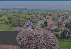 bandicam 2021-05-20 19-42-16-428.jpg