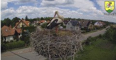 C8DF38CB-02CA-4E7F-B829-D3618ABFD1CA.jpeg