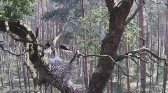 D77518CC-04DD-4BD5-9E3F-8716671CF8B8.jpeg