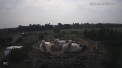2021_08_14_09_12_16_Bociany_Raszków_YouTube_Mozilla_Firefox.png