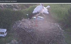 bandicam 2021-09-05 20-05-25-940.jpg